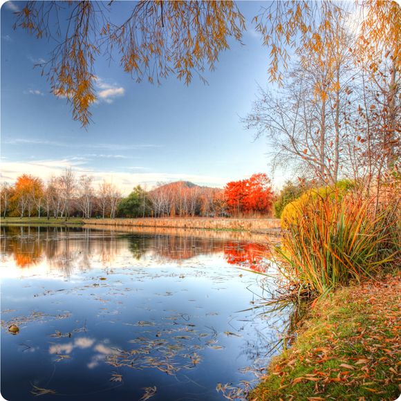 Beautiful colours by the waters of Lake Burley Griffin in Canberra, ACT, Australia.
