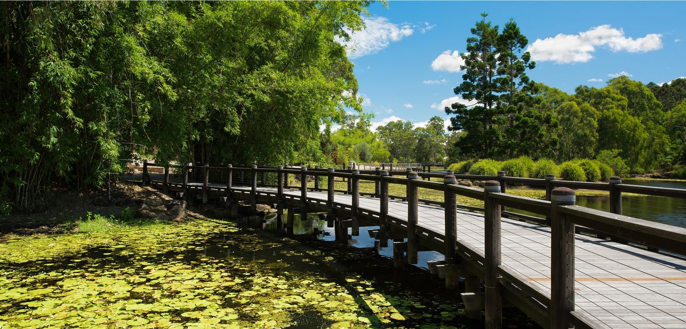 A peaceful walk through Rosser Park Botanical Gardens in Ashmore.