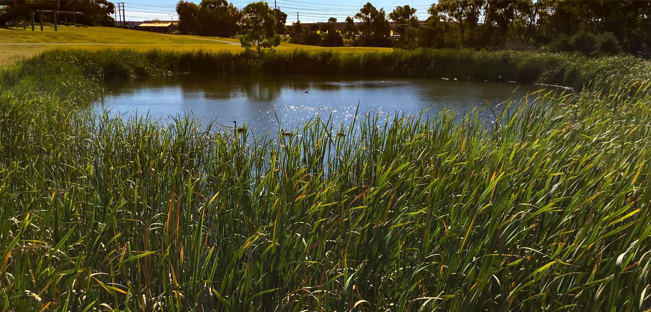 Lake view at Karkarook Park near Bentleigh East, Melbourne.