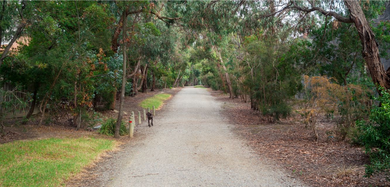 Enjoy some of the green spaces in Blackburn, Victoria.