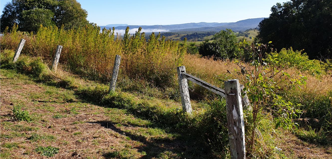 Rural scene at Mallanganee near Casino, New South Wales.