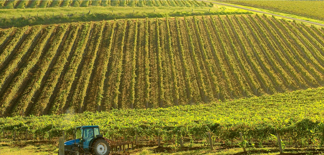 Cessnock is the perfect base for road trips to the Hunter Valley.