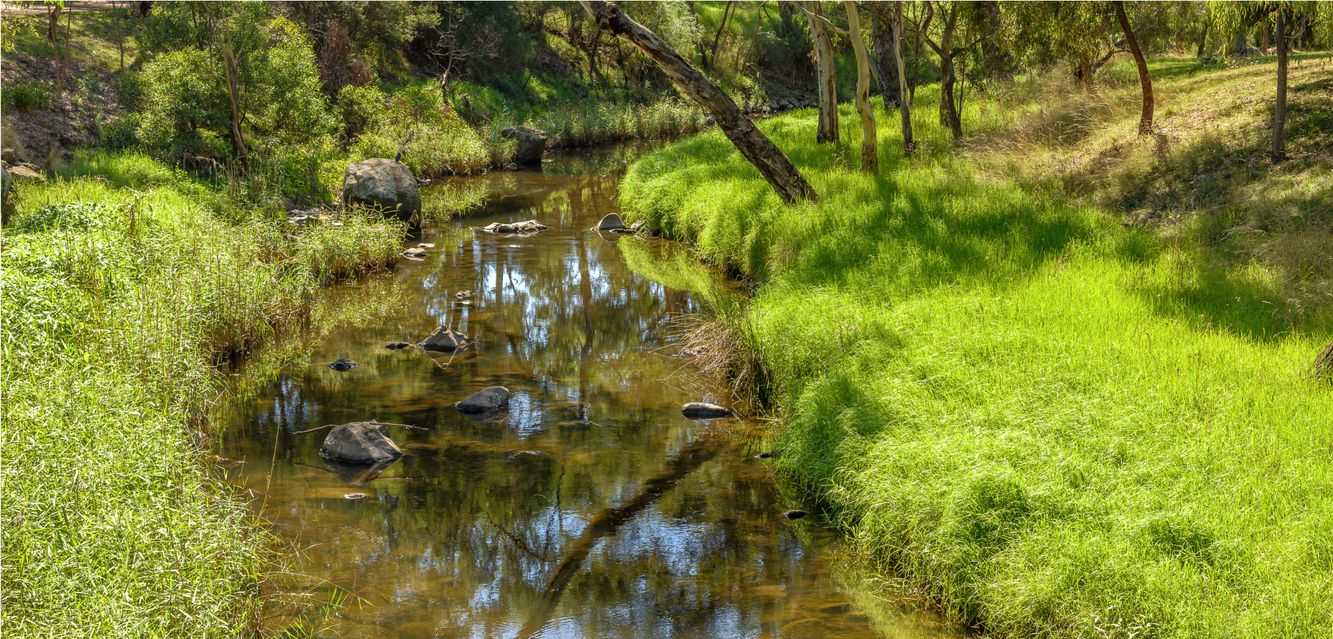 Escape Melbourne’s suburbs for a spot of green by Coburg’s Merri Creek.