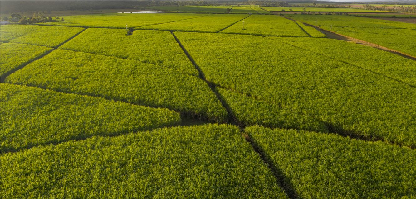 There’s a reason people call Mackay Australia’s sugar cane capital.