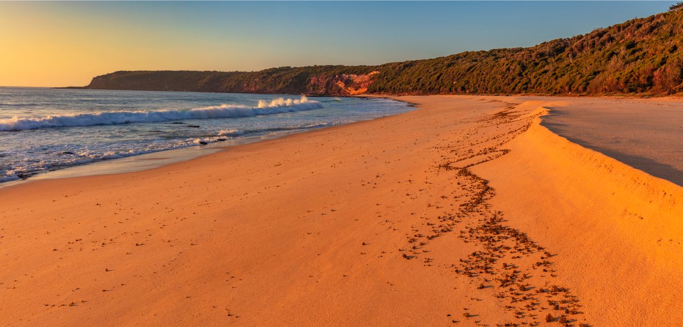 Beautiful, warm morning light over Middle Beach near Merimbula on the New South Wales coast.