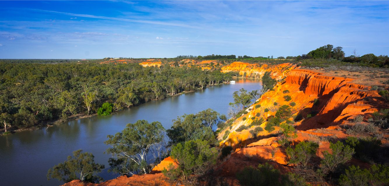 The Murray River near Renmark, South Australia.