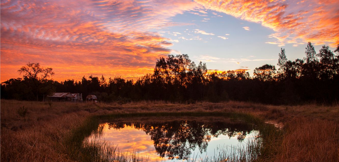 Lovely sunset at Sedgefield near Singleton in the Hunter Valley, New South Wales.