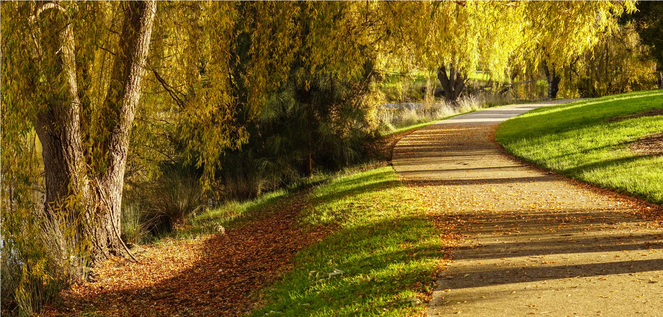Autumn by the river in Taylors Lakes, Melbourne.