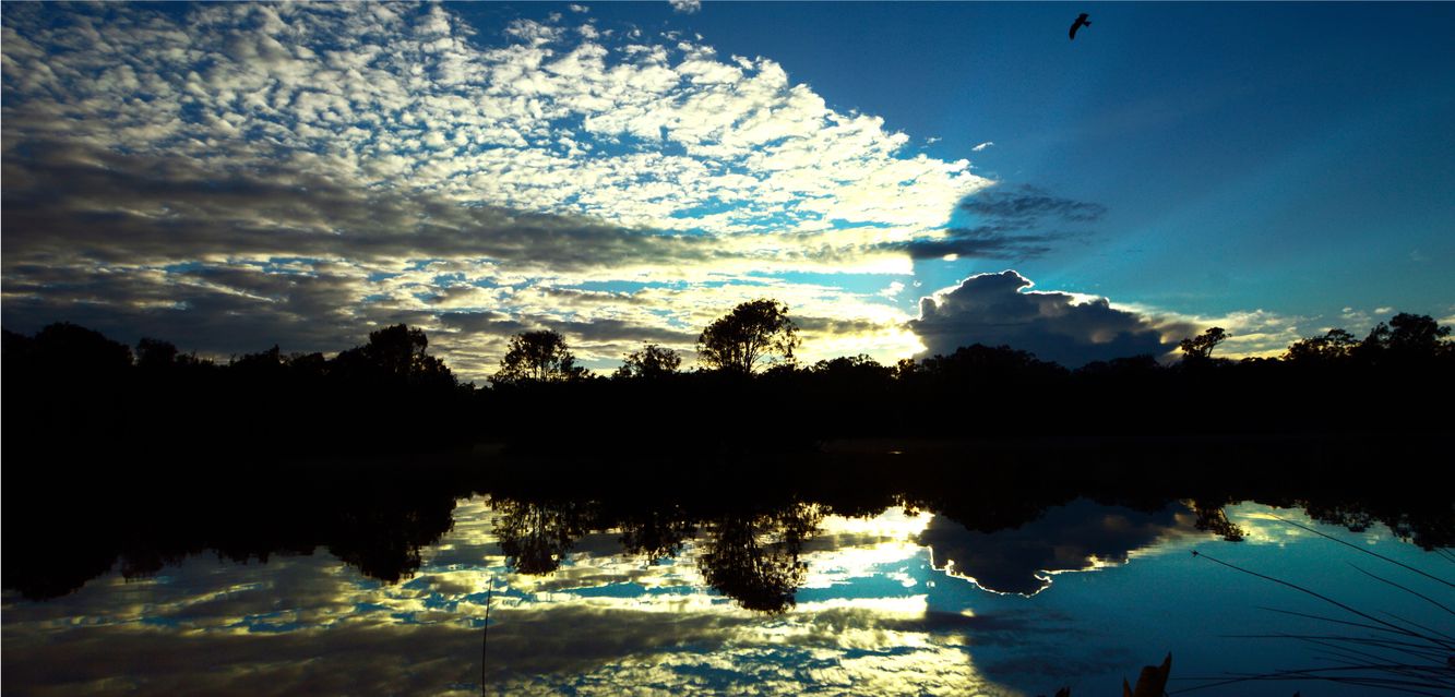 Sunrise reflections at Berrimba Wetlands near Woodridge, Queensland.