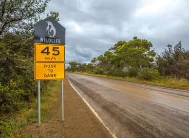 Speed cameras are used in conjunction with road signs, like this one in Tasmania.