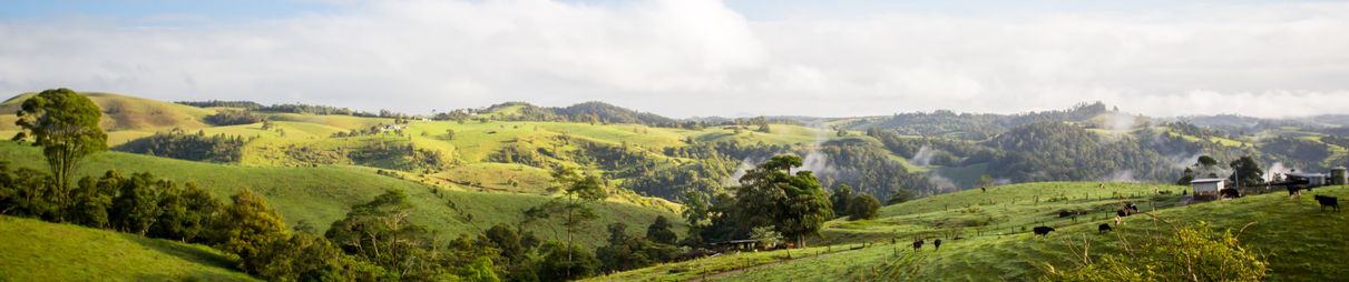 Atherton Tablelands on a misty winter's morning in Queensland, Australia.