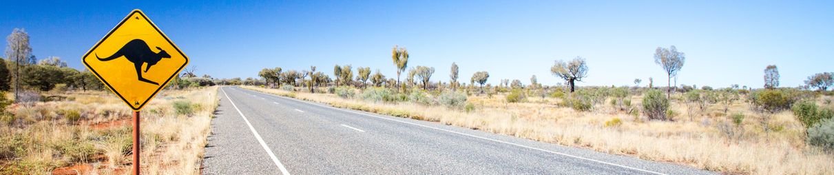 An iconic warning road sign for kangaroos near Uluru.