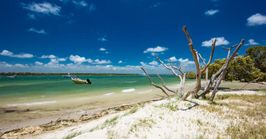 Brisbane to the Sunshine Coast