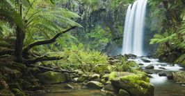 Geelong to the Otways