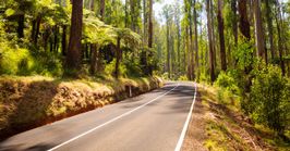 How to return your hire car