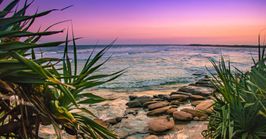 Sunshine Coast day trips