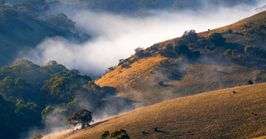 8 reasons to take a road trip