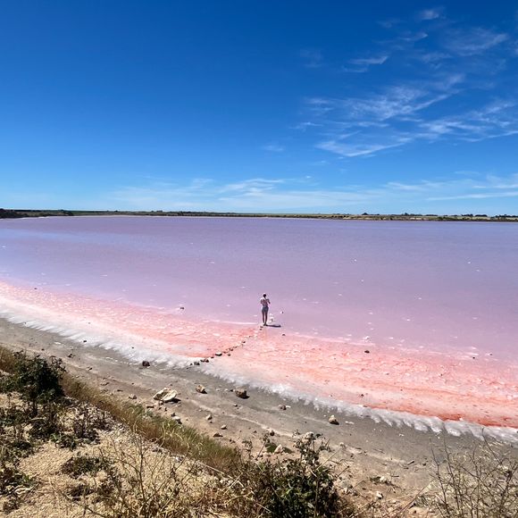 Yes, this lake is indeed pink.