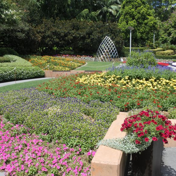 Garden flowers blooming in Roma Street Parklands.