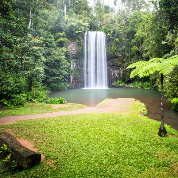 The famous Millaa Millaa waterfall in the Atherton Tablelands.