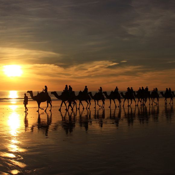 A sunset camel ride on Cable Beach near Broome.