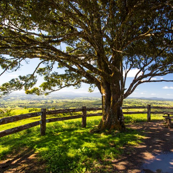 A beautiful hilltop outlook near Millaa Millaa on the Atherton Highlands.