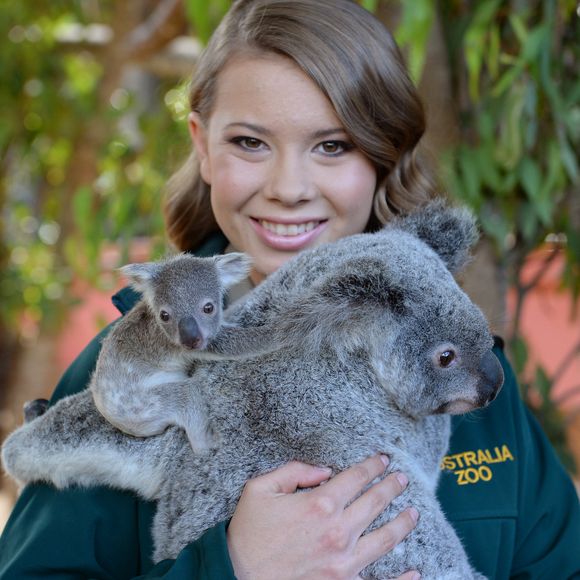 Bindi Irwin holding koalas at Australia Zoo.