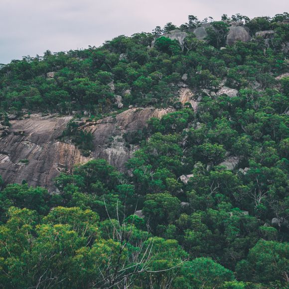 A boulder-strewn hill in Girraween National Park.