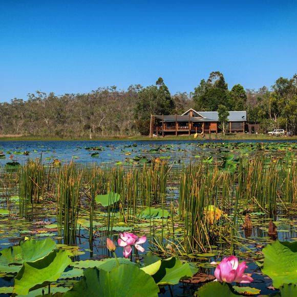 The Mareeba wetlands near Cooktown, Queensland.
