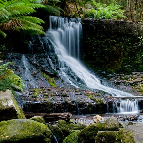 One of the many waterfalls in Mount Field National Park.