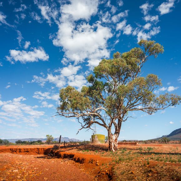 Stark beauty near the Flinders Ranges.