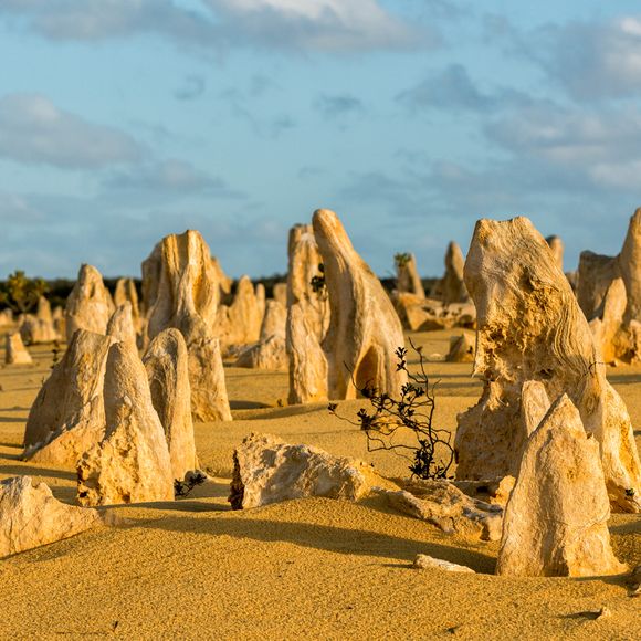 There is nowhere else on Earth quite like the Pinnacles.