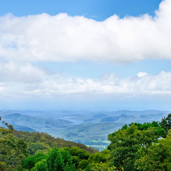 A scenic view over the Numinbah Valley.