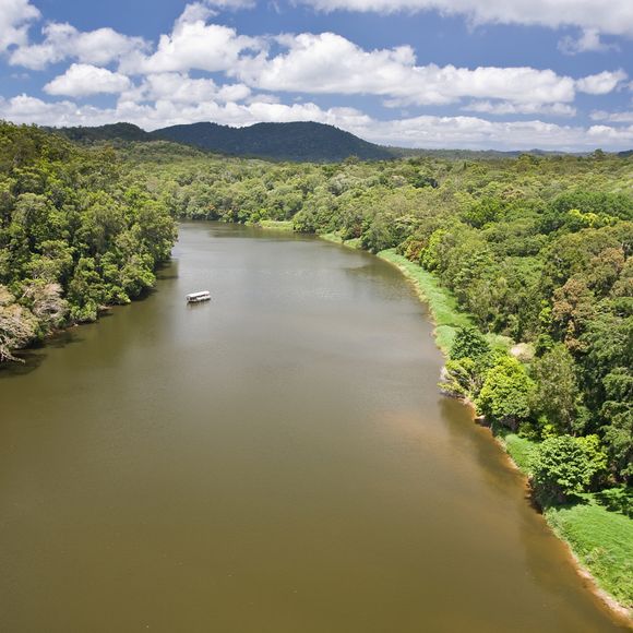 A river flowing through the Daintree rainforest.